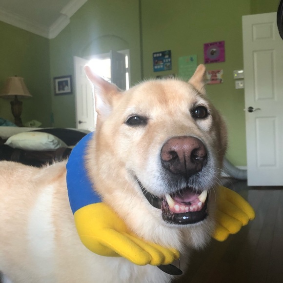 Meet the Posher, Joann - Picture 6 of 16